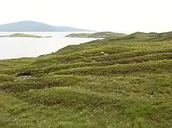 The 'lazy beds' of Harris