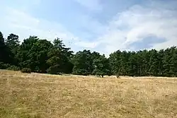 Little Heath, Barnham