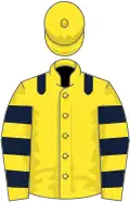 Yellow, dark blue epaulets, hooped sleeves