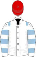 White, light blue epaulets, hooped sleeves, red cap