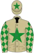 Beige, green star, diamonds on sleeves, star on cap