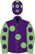 Purple, light green large spots, light green sleeves, purple spots, purple cap, light green spots
