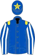 Royal blue, yellow epaulets, royal blue and white striped sleeves, royal blue cap, yellow star