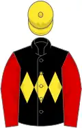 Black, yellow triple diamond, red sleeves, yellow cap
