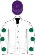White, dark green spots on sleeves, purple cap