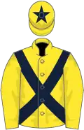 Yellow, dark blue cross sashes, yellow cap, blue star