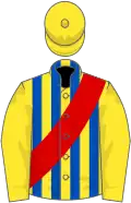 Yellow, royal blue stripes, red sash, yellow sleeves, yellow cap