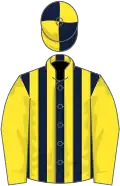 Dark blue and yellow stripes, yellow sleeves, quartered cap