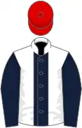 White, dark blue stripe and sleeves, red cap