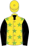 Yellow, light green stars, black sleeves, yellow cap