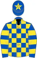 Royal blue and yellow check, hooped sleeves, blue cap, yellow star
