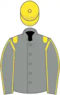 Grey, Yellow epaulets, Grey sleeves, Yellow seams, Yellow cap
