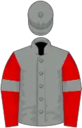 Grey, red sleeves, grey armlets