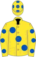 Yellow, large royal blue spots, royal blue spots on sleeves, yellow cap, royal blue spots