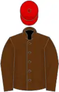 Brown, brown sleeves, red cap
