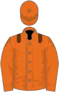 Orange, brown epaulets