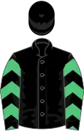 Black, emerald green chevrons on sleeves