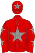 Red, grey star, grey stars on sleeves, grey star on cap