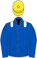 Royal blue, white epaulets, yellow cap