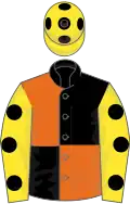 Black and orange (quartered), yellow sleeves, black spots, yellow cap, black spots