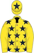 Yellow, dark blue stars on body and star on cap