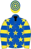 Royal blue, yellow stars, yellow and royal blue hooped sleeves and cap