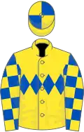 Yellow, royal blue triple diamond, checked sleeves and quartered cap