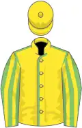 Yellow, light green seams, light green and yellow striped sleeves, yellow cap