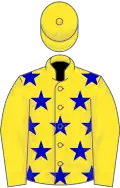 Yellow, blue stars on body