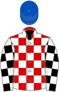 Red and white check, black and white check sleeves, royal blue cap