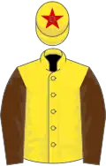 Yellow, brown sleeves, yellow cap, red star