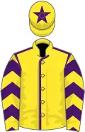 Yellow, purple seams, chevrons on sleeves, star on cap