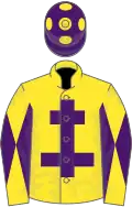 Yellow, purple cross of lorraine, diabolo on sleeves, purple cap, yellow spots