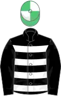 Black, White hoops, Black sleeves, Emerald Green and White quartered cap