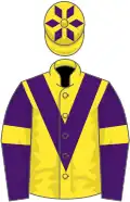 Yellow, purple chevron, purple sleeves, yellow armlets, diamonds on cap