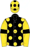 Black, yellow spots, yellow sleeves, black armlets and spots on yellow cap