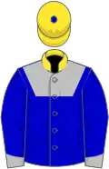 Blue, Silver yoke and cuffs, Yellow collar, Yellow cap, blue button