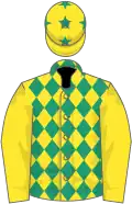 Yellow, emerald green diamonds, yellow sleeves, stars on cap
