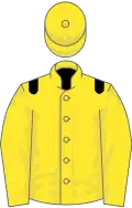 Yellow, black epaulets