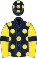 Dark blue, yellow spots, yellow sleeves, dark blue armlets, dark blue cap, yellow spots