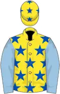 Yellow, royal blue stars, light blue sleeves