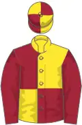 Yellow and maroon (quartered), maroon sleeves
