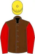 Brown, red sleeves, yellow cap