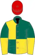 Dark Green and Yellow (quartered), halved sleeves, Red cap