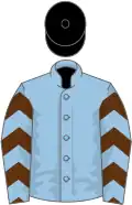 Light blue, brown chevrons on sleeves, black cap