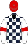 Dark blue and white checked, white sleeves, red armlets and cap