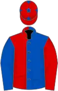Royal blue and red (halved), reversed sleeves, red cap, blue stars