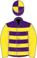 Purple and yellow hoops, yellow sleeves, quartered cap