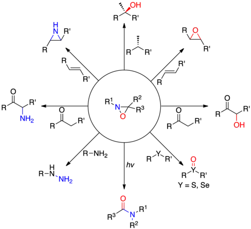 Oxaziridine Reactions