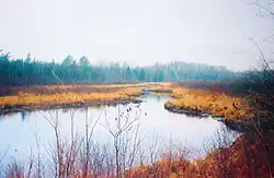 Near Clam Lake in Chequamegon National Forest